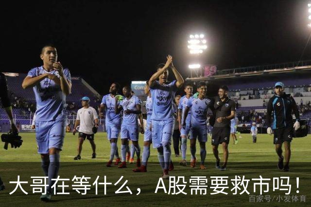 大哥在等什么，A股需要救市吗！