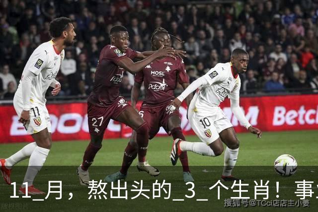 11 月，熬出头的 3 个生肖！事业逐步走高，辛苦付出开始变现
